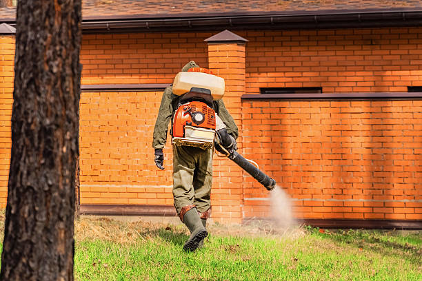 Bed Bug Clearance Verification and Documentation in Ruidoso